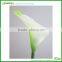 wholesale top quality real touch mini calla lily in white green