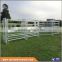 Australia hot dipped galvanized horse fence In Farm ( Factory Trade Assurance)