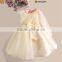 WONDERLAND children clothes flower girl party dress children princess dress 3 year old girl dress