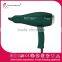 Salon professional hair dryer