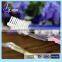 wholesale delicate disposable hotel toothbrush