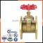 flange connection slide brass gate valve