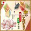 Japanese traditional konpeito sugar candy gift made in Japan