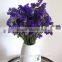 Most popular new coming jasmine rice flower box with 60-80cm long from Yunnan, China