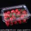 SZ-Y-300 plastic strawberry /blueberry fresh /dried fruit container