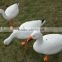 snow goose decoys for hunting