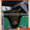 Livestock cattle pneumatic reverse case by halal rule to process meat