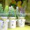 Newest Style Lavender Plant Bonsai Decorative Bonsai Plant Sale