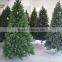 Color PVC Green Foil for Making Christmas Tree