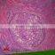College and University Preparation Human Educational Pathology Slides