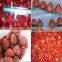 China Hot Sale Frozen Strawberry,