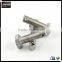 customized Hex Bolt with Hole in Head or end