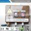 Factory Supply ceiling fan with mist