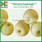 2016 Chinese golden delicious fresh apple with best quality
