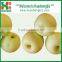 2016 Chinese golden delicious fresh apple with best quality