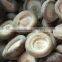 CHINA frozen shiitake mushroom