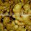 Competitive Price New Harvested Young Ginger With Mesh Bag