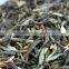 diabetes cures herbs jasmine green tea weight loss