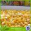 vaccum pack canned sweet corn