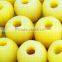 Cheap Canned Apples Solid Pack Canned Fruit Apple in China