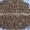 China Horticultural Grade Soil Golden Expanded Vermiculite