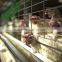 galvanized used chicken coop distributor nigeria