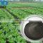 Mineral Source Fulvic Acid From Xinjiang Province, the best mineral source in china