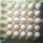 Paper waterproof egg trays/Plastic food tray/ Plastic incubator egg tray