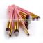 Pink and gold handle Import Synthetic hair 10pcs makeup brushes
