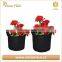 Non woven flower grow bag, garden fabric flower grow bag