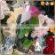 clear opp transparent single rose flower sleeve