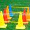 spring training bounce training speed training jumping ladders with traffic cones