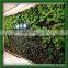 Artificial Green Wall With Uv Resistance Antique Artificial Ivy Green Wall Decoration Artificial Plant