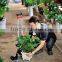 900kgs aluminium two wheel and outdoor usage beach cart