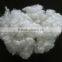 Pure virgin HCS-hollow conjugated silicon fiber