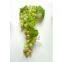 Artificial Grape,Plastic Grapes(FHM115B4)