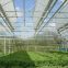 High Quality PC Sheet Covering Greenhouse with Stable Steel Structure