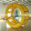 PVC Inflatable Water Toys/Equipment Inflatable Water Human Hamster Ball Water Roller With Cheap Price