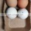 new DIY bisque hand painted mini colorful surprise hot sale easter ceramic production gifts eggs for kids home decor ornaments