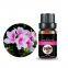 GMP rhododendron essential oil aromatic essential oil cosmetic base oil