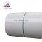 white color color coated gi steel coils prepainted galvanized steel coil ppgi for roofing sheet