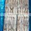 Good quality BQF frozen squid tentacle teeth off