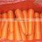 2021 New Crop Fresh Carrot