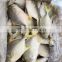 iqf golden pompano fish Frozen Golden Pompano price golden pomfret