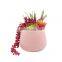 Best Selling Succulent Plants Faux Plastic FakeFlowers Mini Artificial Succulents In Pots