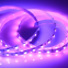 Led Strip With Building Strip Led For Homekit Led Strip 5m SMD 5050 RGB LED WS2811 Approved Light Stripe