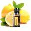 10-30L lemon essential oil distillation equipment