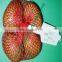 Factory Industry auto mesh net bag  weighting counting netting clipping  packing packaging machine for potato onion orange
