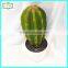 25cm new design hot sale plastic succulent