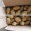 2015 New Crop of the Potato With Lowest Price